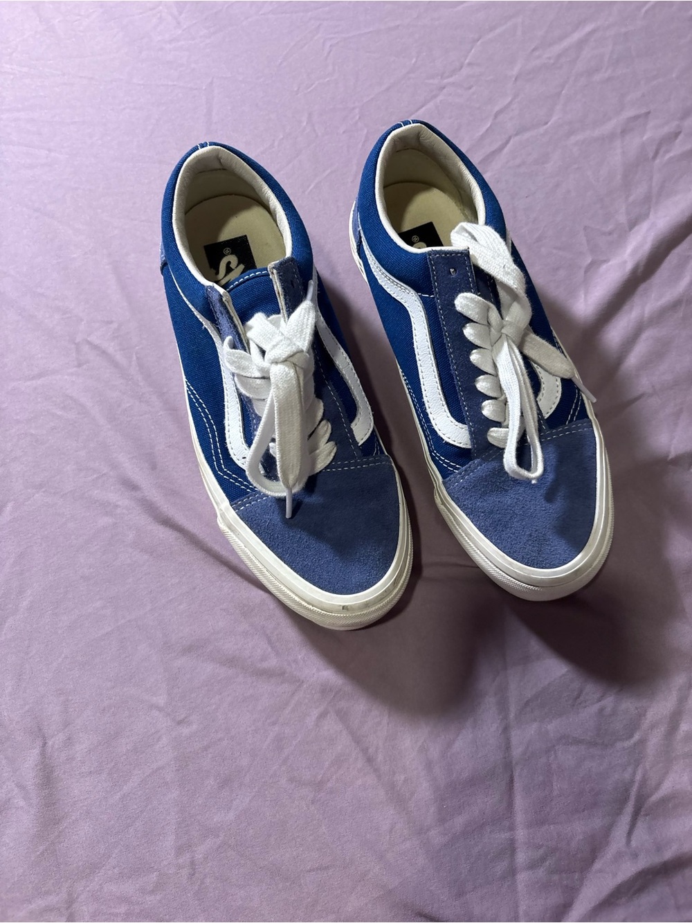 Vans Blue and White Low-Top Skate Sneakers